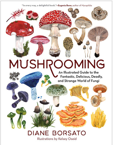 Mushrooming by Borsato