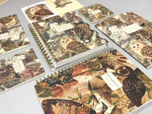 A6 Passport Notebook - Notebook Owls