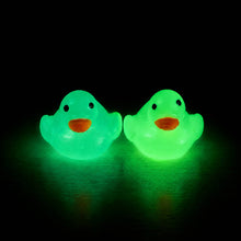 Glow In the Dark Squishy Duck