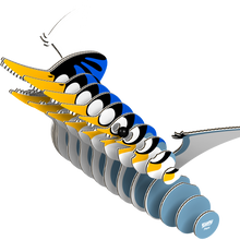 EUGY Ptero 3D Puzzle