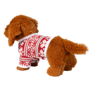 Mini Soft Dachshund with sweater