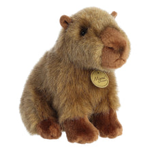 Capybara Plush