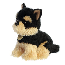 9" Yorkie Pup