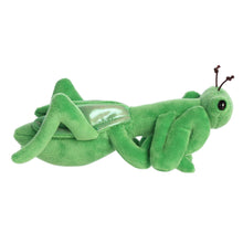 8" Mia Praying Mantis™
