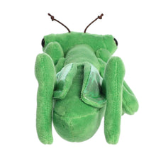 8" Mia Praying Mantis™