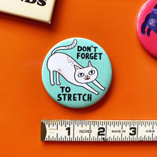 Cats Are My Friends (Raccoon) Round Magnet