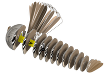 EUGY Fantail 3D Puzzle