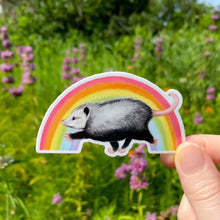 Raz the Opossum Rainbow Weatherproof Vinyl Sticker