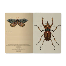 Entomology - A5 Notebook