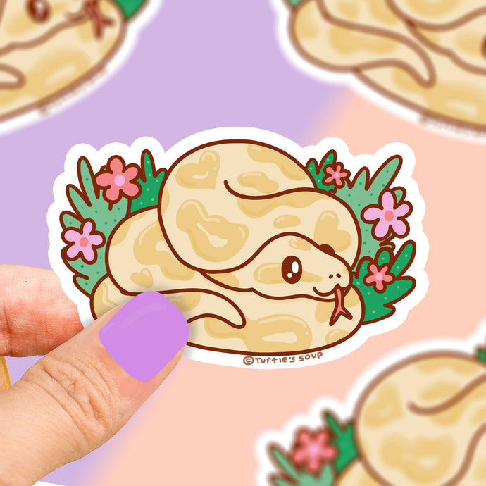 Ball Python Snake Pet Vinyl Sticker
