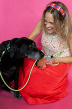 Dog Gone Well Read Poo Pal – Stack of Books Poop Bag Holder