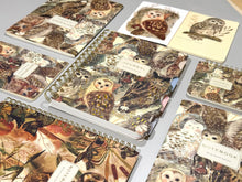 A6 Passport Notebook - Notebook Owls