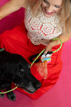 Dog Gone Well Read Poo Pal – Stack of Books Poop Bag Holder