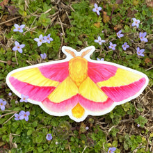 Rosy Maple Moth Weatherproof Vinyl Sticker