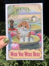 POSTCARD Wish You Were Here Kitten Lotus Pond