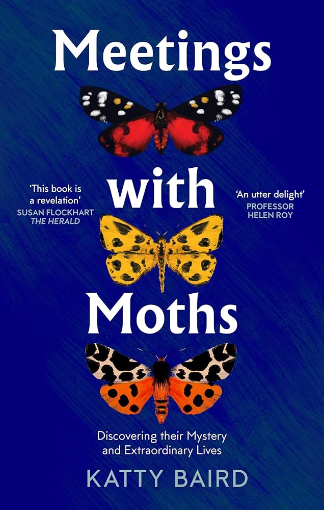 Meetings with Moths: Discovering their Mystery and Extraordinary Lives cover image