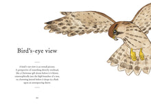 A Little Bird Told Me: An illustrated compendium of bird phrases by Sewell