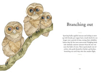 A Little Bird Told Me: An illustrated compendium of bird phrases by Sewell