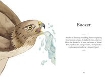 A Little Bird Told Me: An illustrated compendium of bird phrases by Sewell
