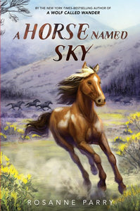 A Horse Named Sky by Parry
