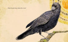 Gifts from Crows: A Picture Book about Friendship Between Species, Based on a True Story - for Kids (Ages 4-8) By Sterer (Pre-Order 8/18/26)