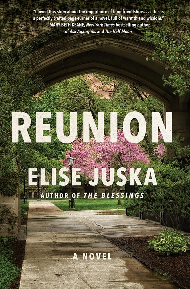 Reunion: A Novel cover image