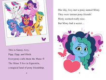 My Little Pony: Misty's Tale, Hasbro