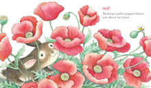 What Does Bunny See?: A Book of Colors and Flowers by Park