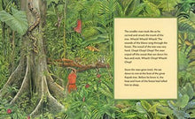 The Great Kapok Tree: A Tale of the Amazon Rain Forest by Cherry