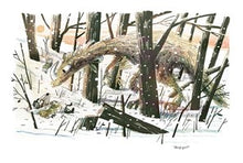 Rock Paper Incisors: A Skunk and Badger Story By Timberlake