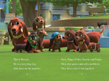 Pretzel and the Puppies: Meet the Pups! (I Can Read Level 1) by Rey