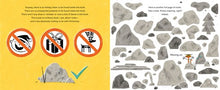 This Is Not a Christmas Book* (*This Is a Book About Rocks) (This Is Not a Holiday Books) By John (Pre-Order 9/1/26)