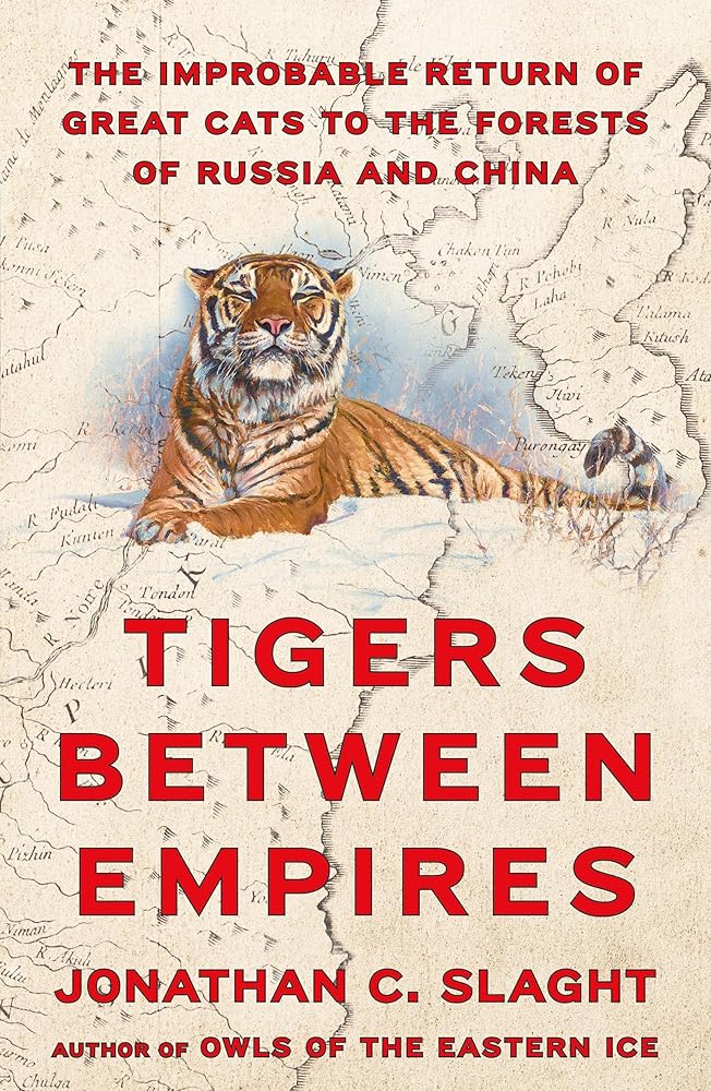 Tigers Between Empires: The Improbable Return of Great Cats to the Forests of Russia and China cover image