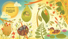 What's Inside A Bird's Nest?: And Other Questions About Nature & Life Cycles by Ignotofsky