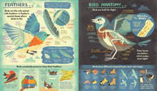 What's Inside A Bird's Nest?: And Other Questions About Nature & Life Cycles by Ignotofsky