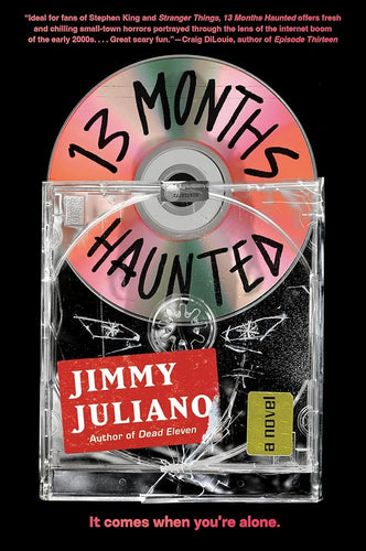 13 Months Haunted: A Novel cover image