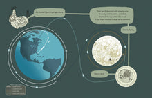 Rocket Beams, Lunar Dreams (The Rocket Ship Series) by Colombi