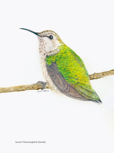 The Backyard Bird Chronicles by Tan