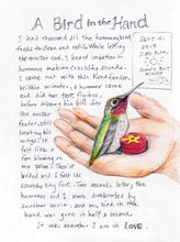 The Backyard Bird Chronicles by Tan