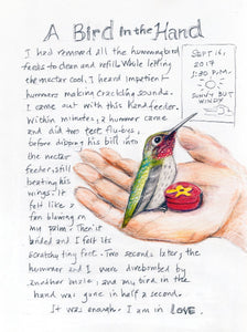 The Backyard Bird Chronicles by Tan