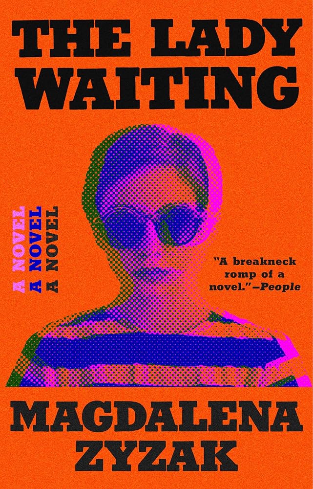 The Lady Waiting: A Novel cover image