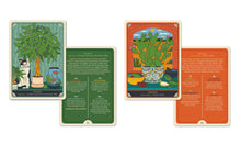 The Happy Houseplant Deck: 50 Cards for Intuitive Plant Care