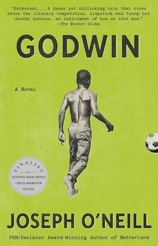 Godwin: A Novel cover image