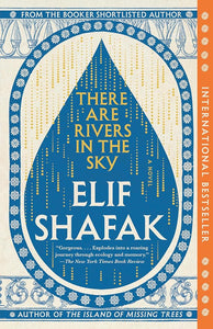 There Are Rivers in the Sky: A Novel cover image