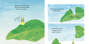 Papilio by Clanton, Tabor, & Musser