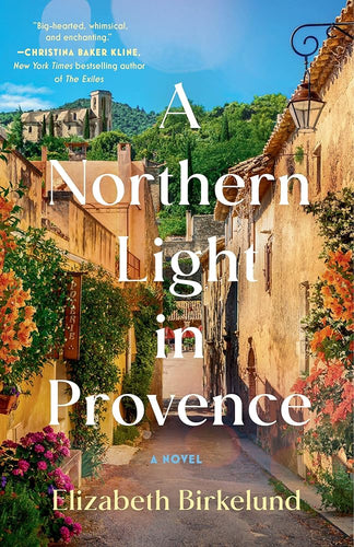 A Northern Light in Provence: A Novel cover image