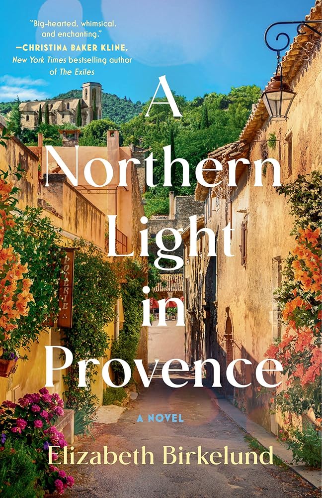 A Northern Light in Provence: A Novel cover image