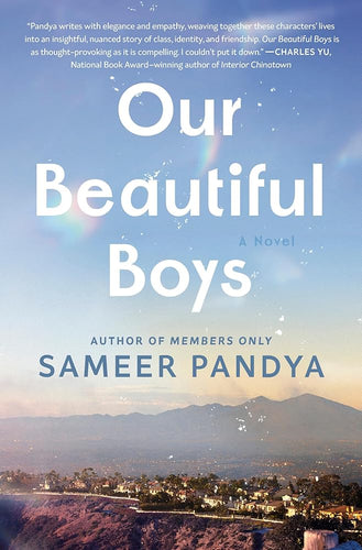 Our Beautiful Boys: A Novel cover image