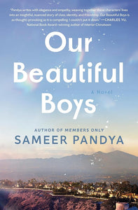 Our Beautiful Boys: A Novel cover image