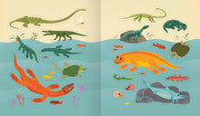 Dinosaurs Stickerology: 500 Stickers from Prehistoric Life; Stickers for Journals, Water Bottles, and Laptops; Stickers for Fossil and Paleontology Lovers, Rachel Ignotofsky